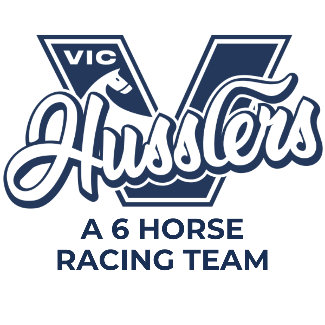 A 6 horse racing team (1)