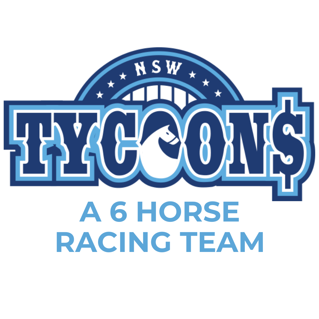 A 6 horse racing team (3)
