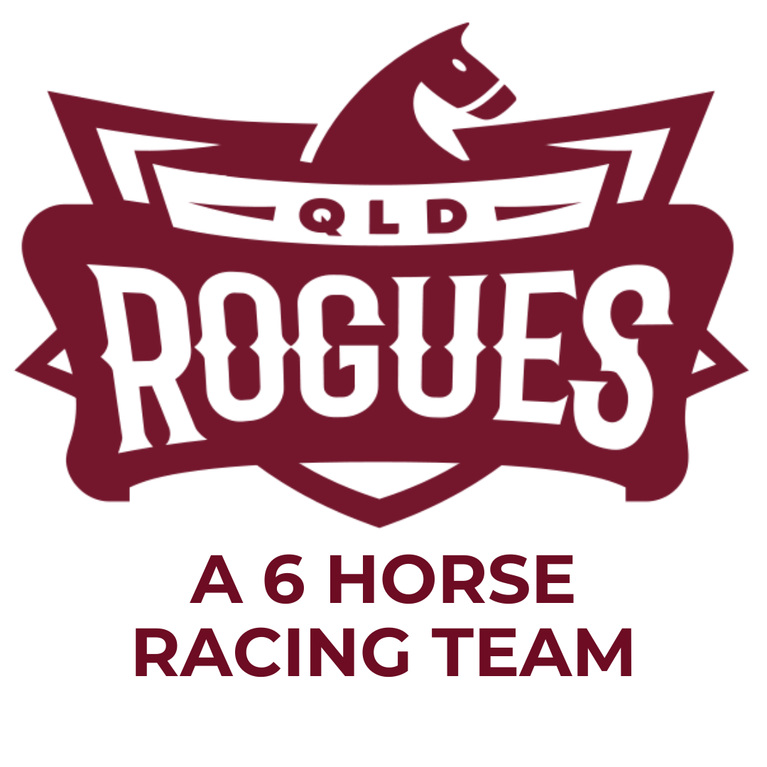 A 6 horse racing team (4)