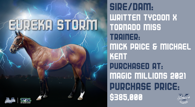 Eureka Storm (Written Tycoon x Tornado Miss)