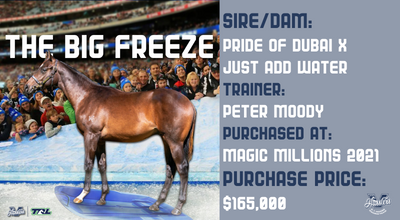 The Big Freeze (Pride Of Dubai x Just Add Water)