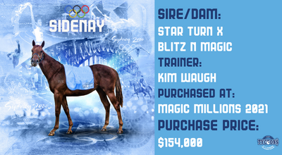 Sidenay (Star Turn x Blitz ‘N’ Magic)