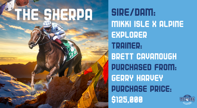 The Sherpa