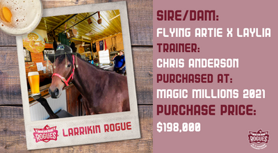 Larrikin Rogue (Flying Artie X Laylia)