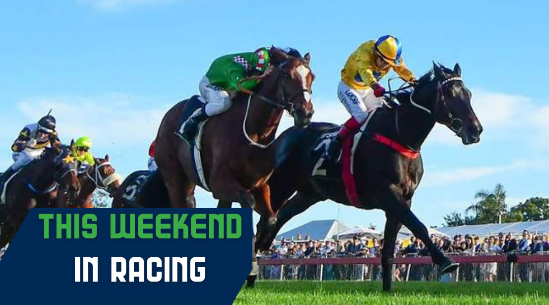 This Weekend in Racing: Ipswich Cup