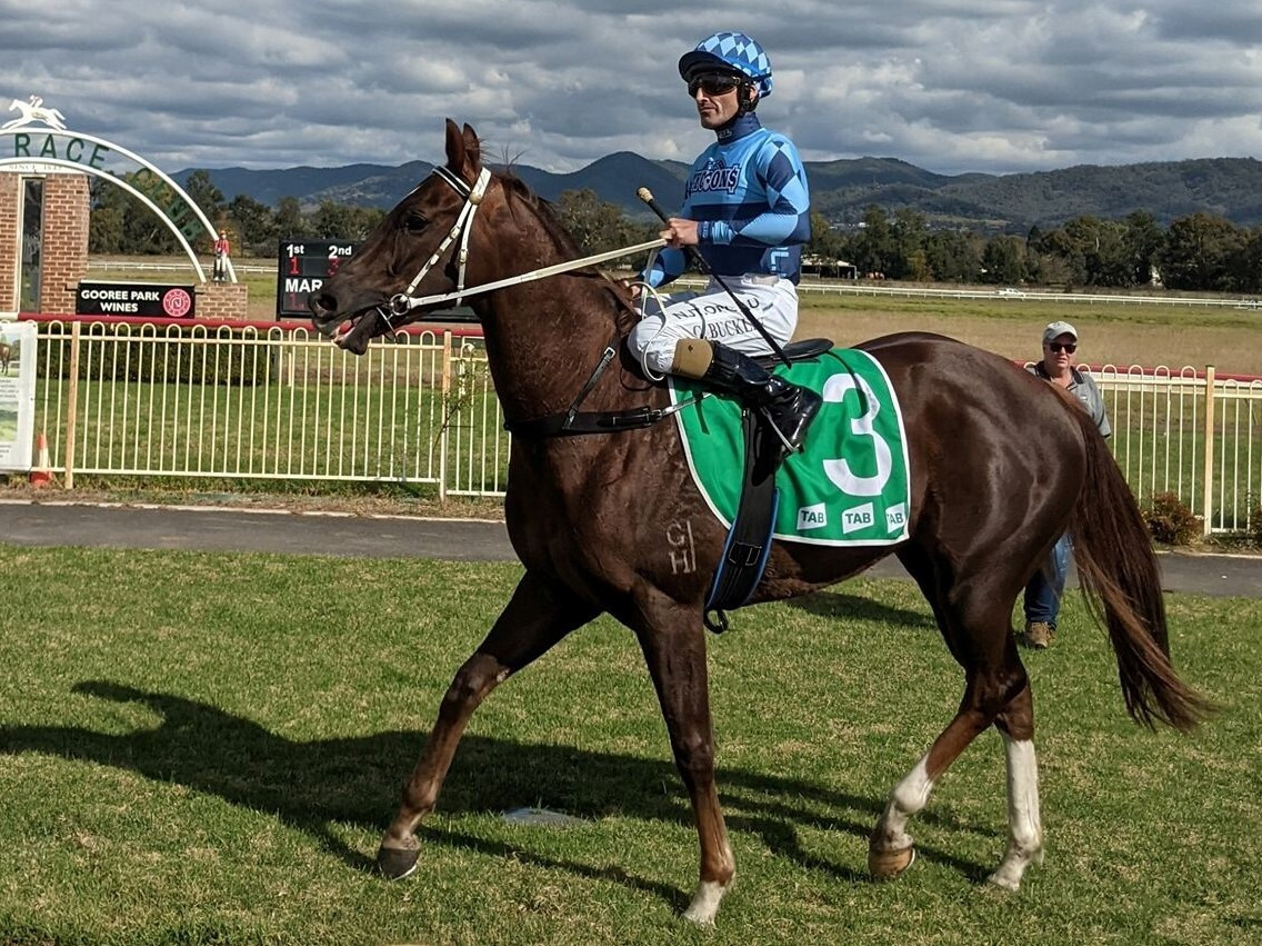 racehorses