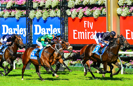 melbourne cup