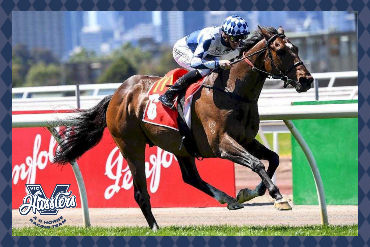 1200 x 800 Your 6 horse racing team (1)