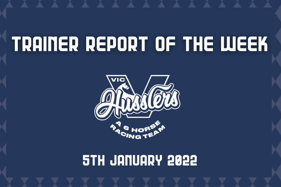 Owner Report of the Week: Husslers