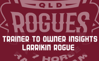 Trainer to owner insights – Larrikin Rogue