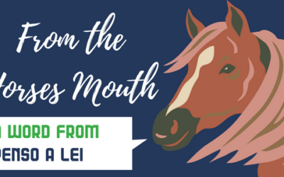 From the Horses Mouth: A word from Penso a Lei