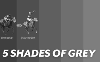 5 SHADES OF GREY RACEHORSES – CHAUTAUQUA