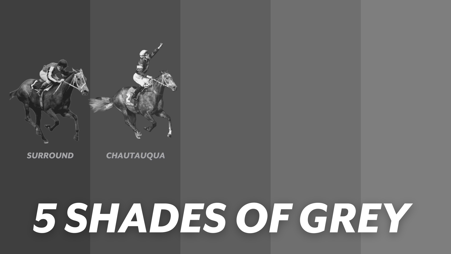 Grey Racehorses