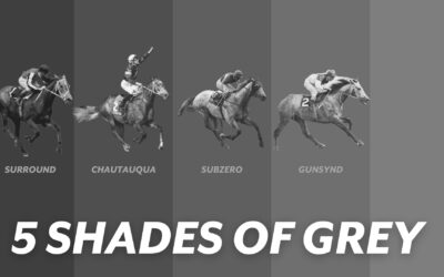 5 SHADES OF GREY RACEHORSES – GUNSYND