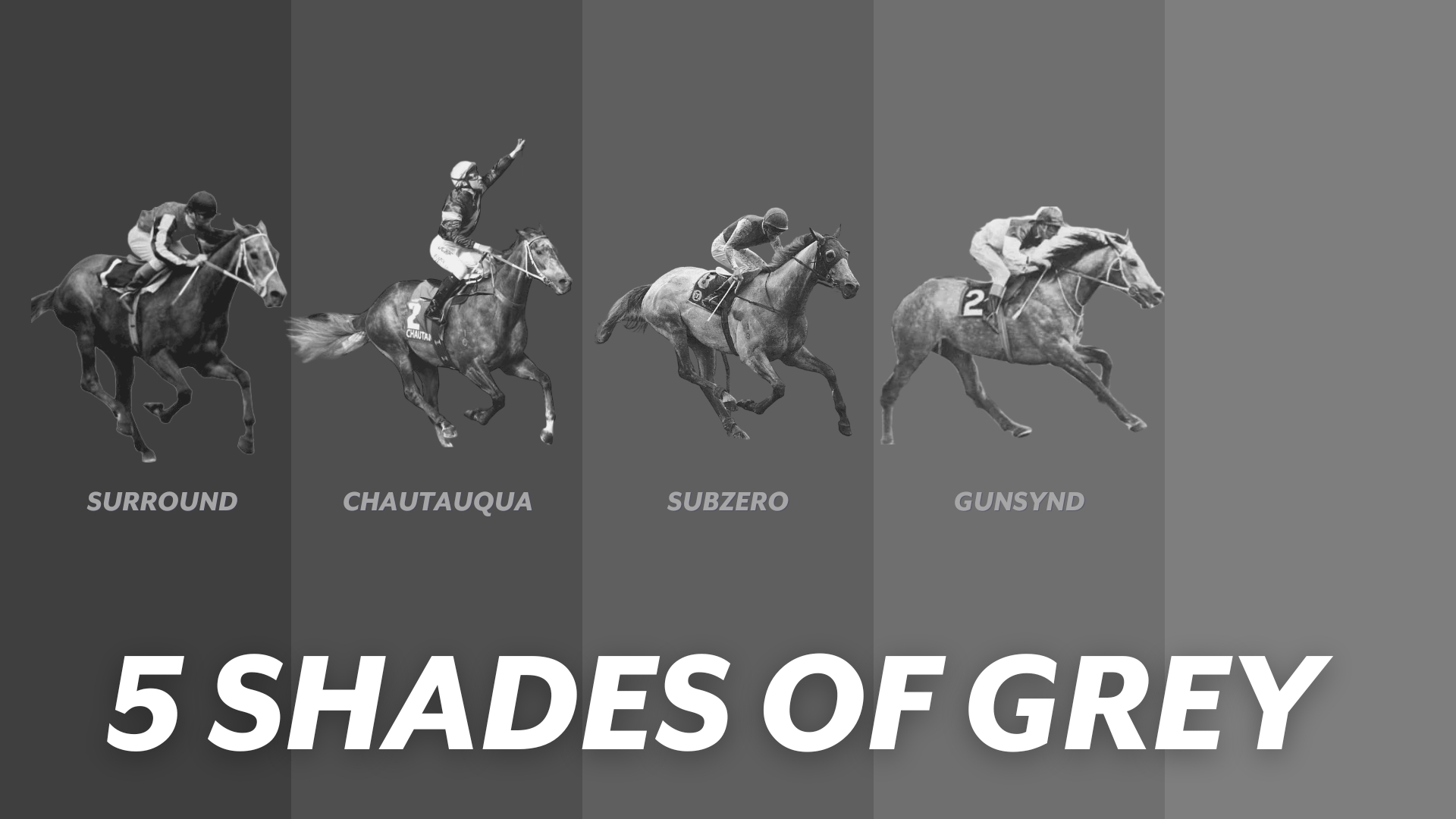 racehorses Gunsynd