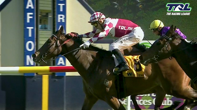 Maroon Magic Wins on Debut