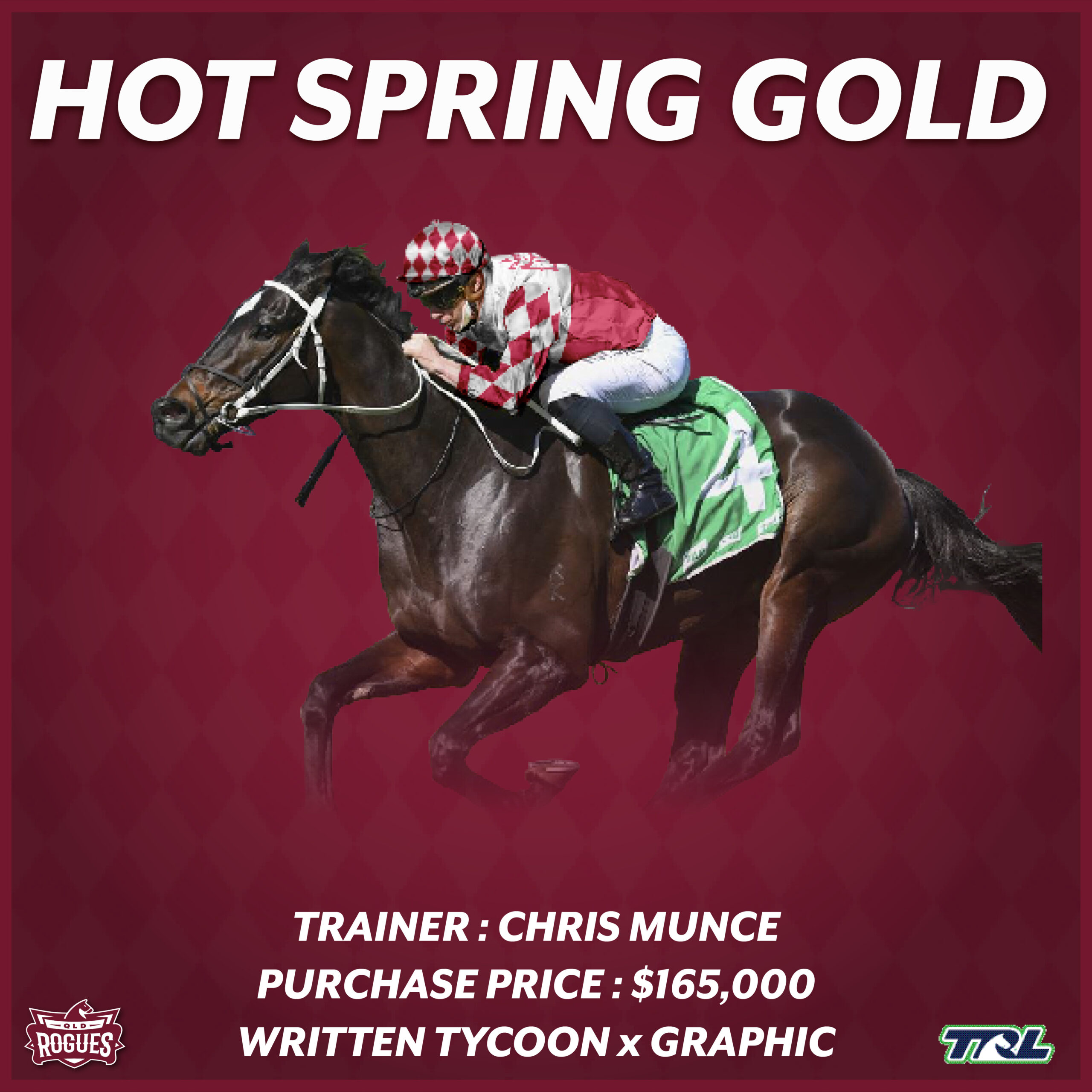 Hot Spring Gold Racehorse