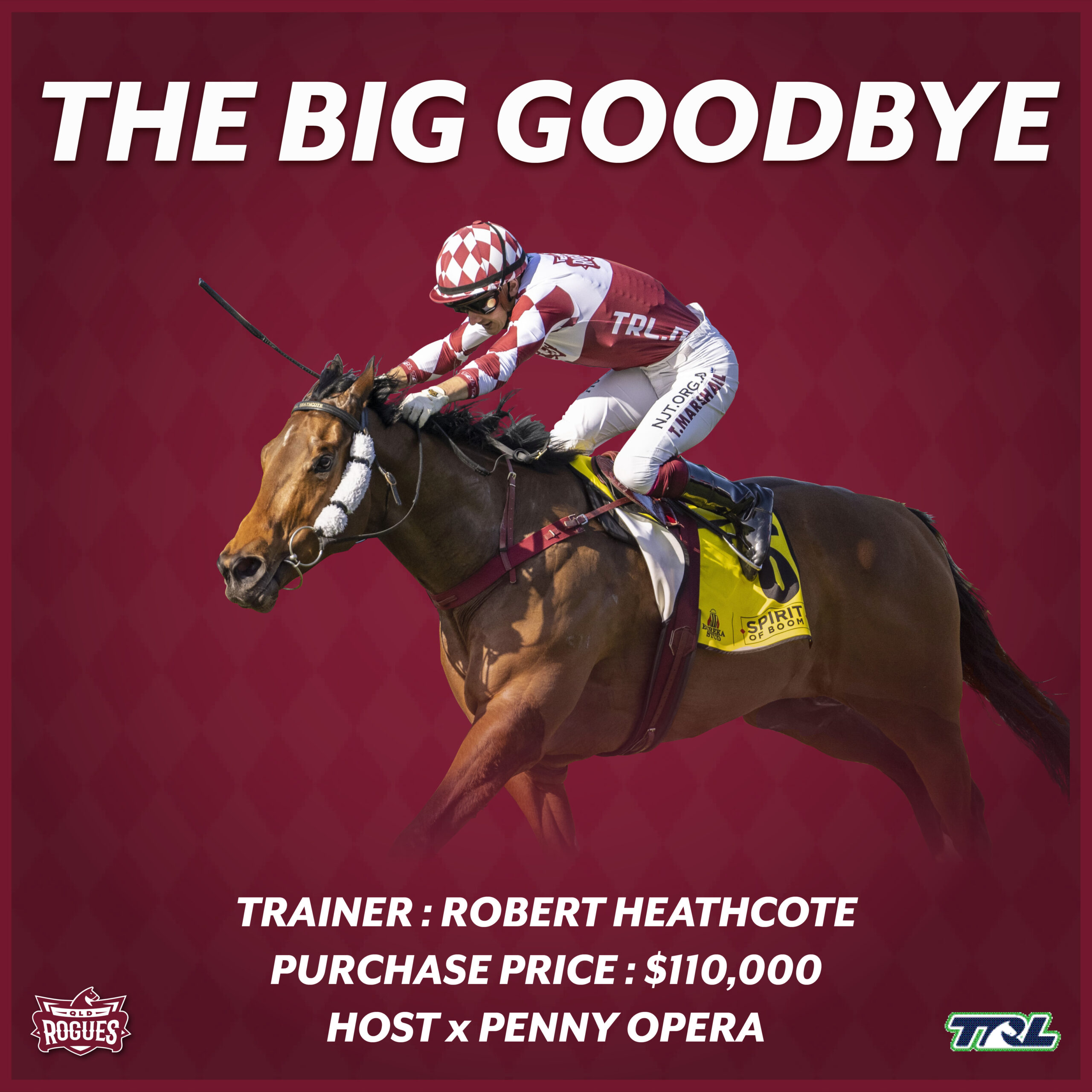 The Big Goodbye racehorse