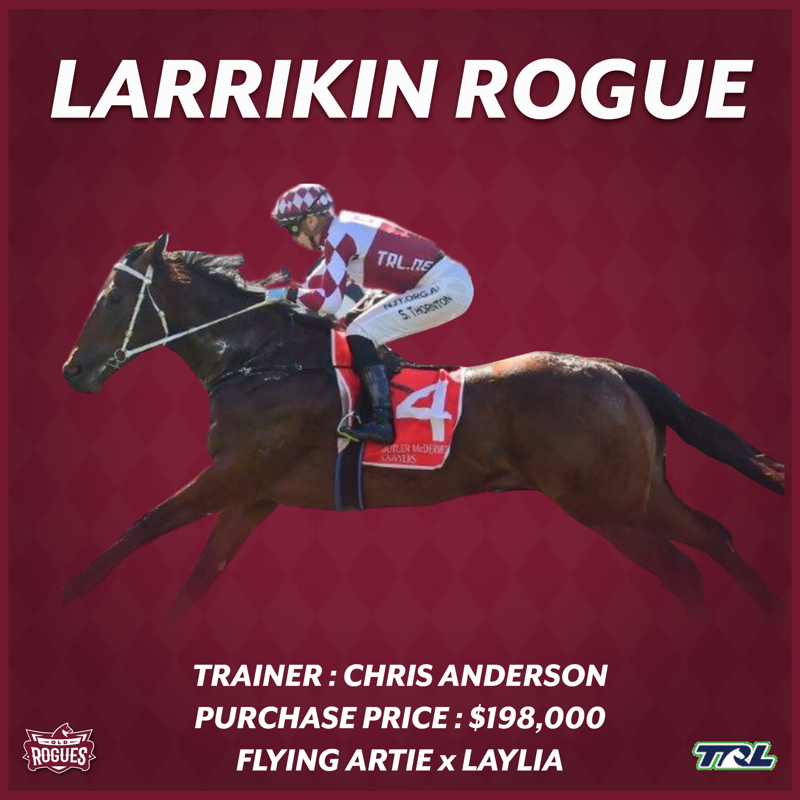 Larrikin Rogue racehorse