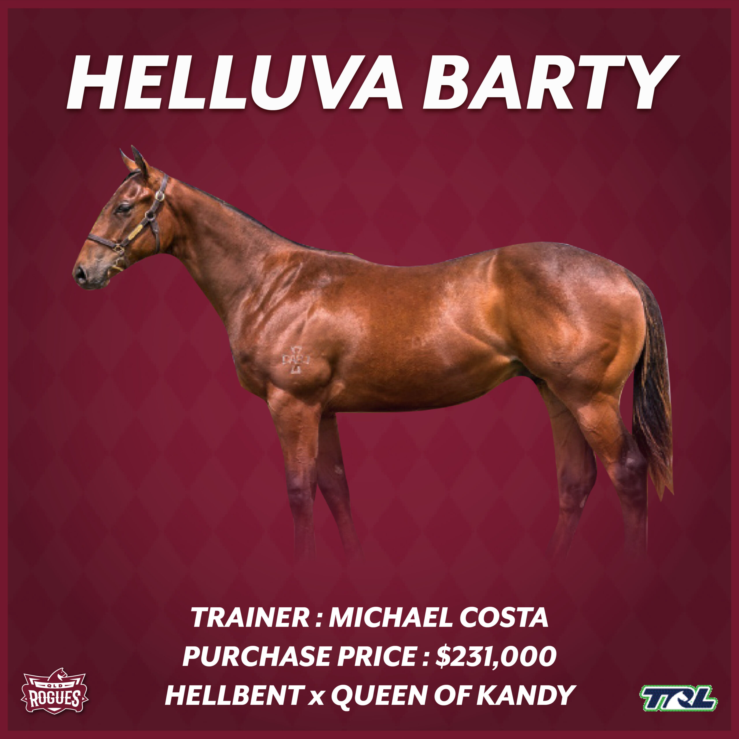 Helluva Barty racehorse Helluva Barty racehorse