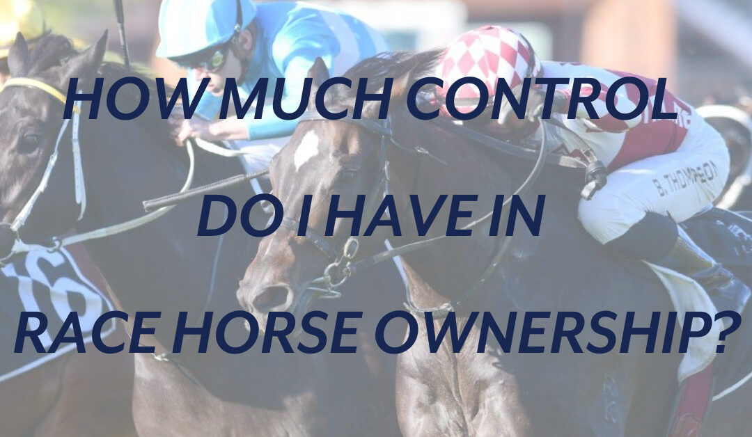 How much control do I have in race horse ownership in text. With background of Luna Rocks NSW Tycoons race horse.