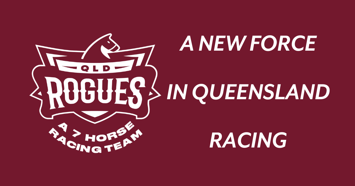 A NEW FORCE IN QLD RACING - The Racing League