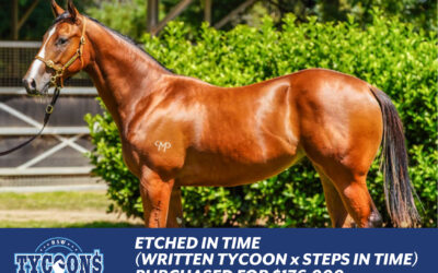 Etched in Time (Written Tycoon x Steps in Time)