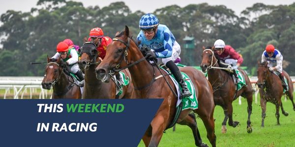 Luna Rocks looks to be on her way to Magic Millions