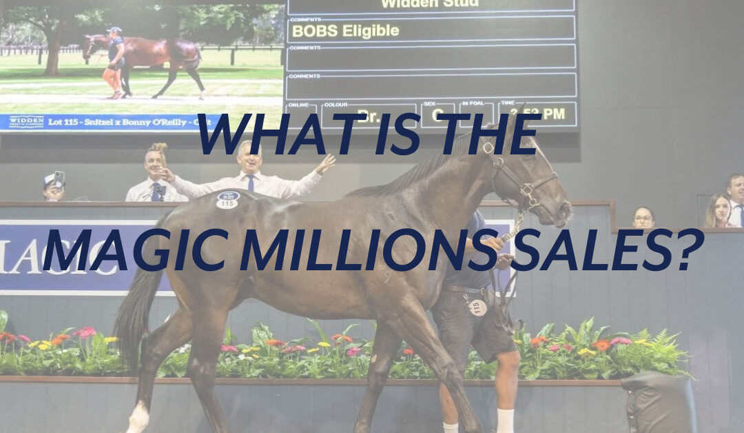 WHAT IS THE MAGIC MILLIONS SALES?