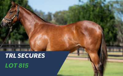 TRL HAVE SECURED AN UP AND COMING TRAPEZE ARTIST FILLY