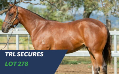 TRL SECURES A PRECOCIOUS DUBIOUS FILLY