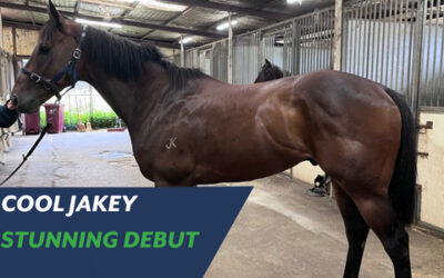 COOL JAKEY STUNNING DEBUT