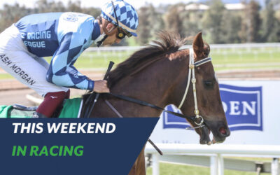TRL WINNERS CONTINUE TO MOUNT-UP