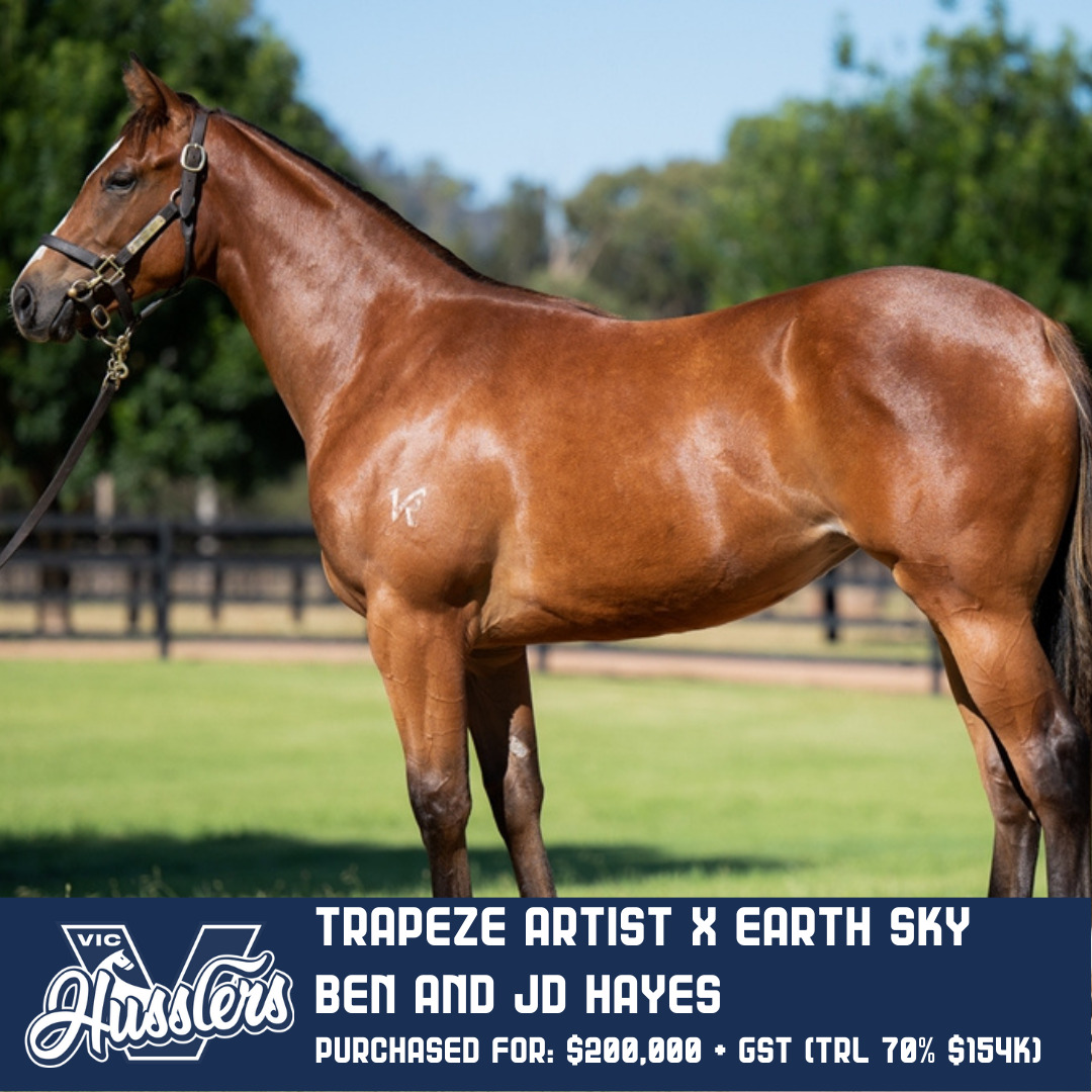 Pardon My French Racehorse Trapeze Artist x Earth Sky
