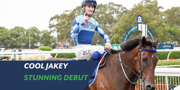 Cool Jakey Racehorse Winner