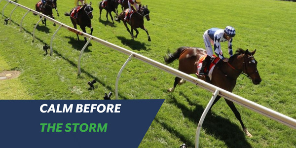 Photo of Team Captain trained by Matt Cumani for VIC Husslers