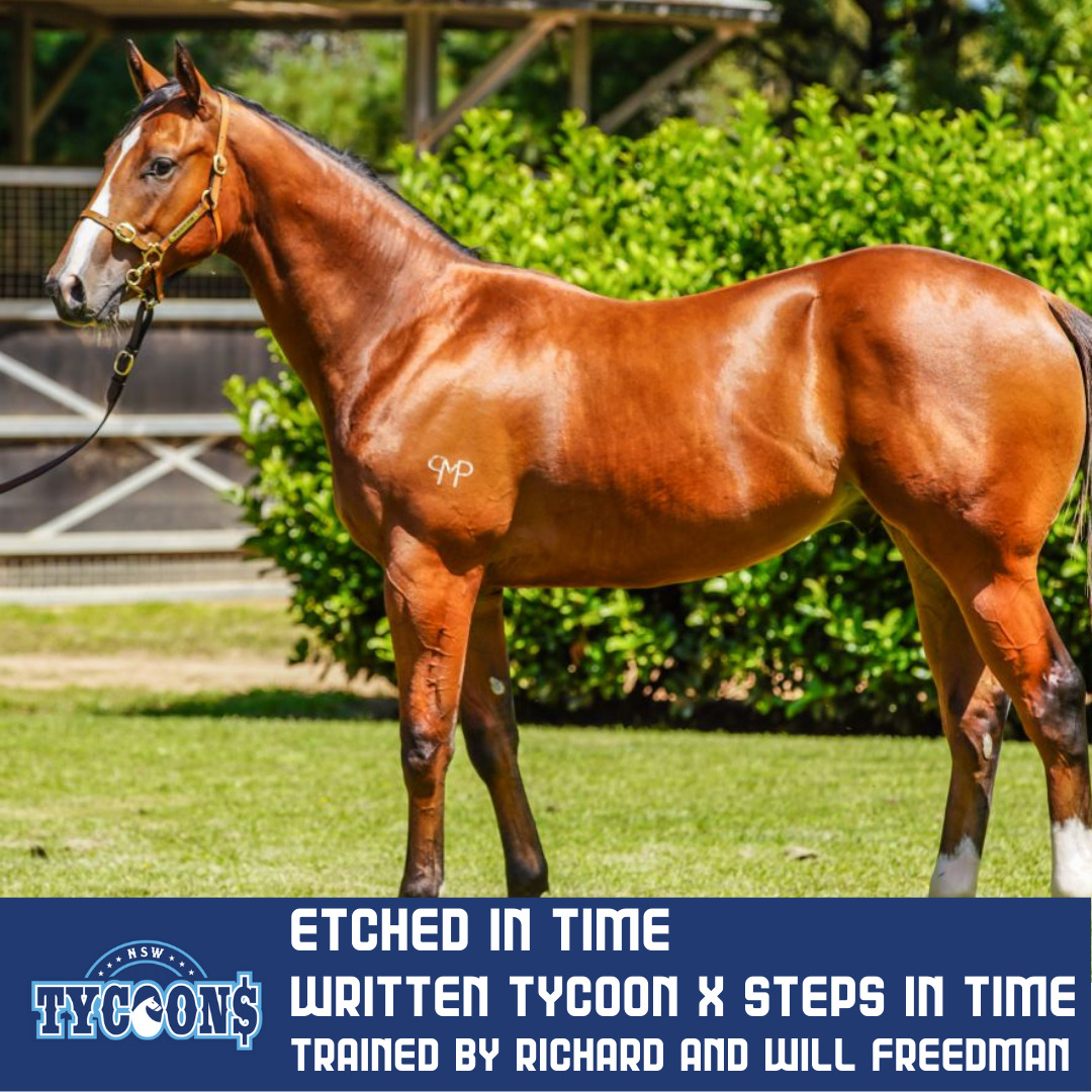 NAME YOUR FILLY fastnet rock x alice island (8) ETCHED IN TIME