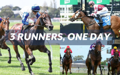 3 RUNNERS IN ONE DAY FOR TRL OWNERS