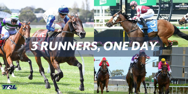 3 RUNNERS IN ONE DAY FOR TRL OWNERS