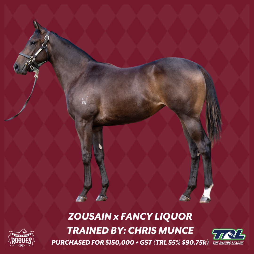 Caxton Lass racehorse ZOUSAIN X FANCY LIQUOR
