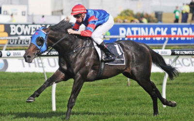 Pierro : A National icon and Sire to Cool Jakey