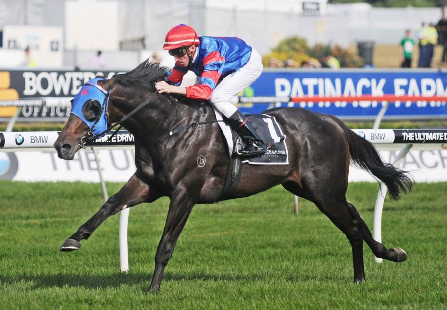 Pierro : A National icon and Sire to Cool Jakey