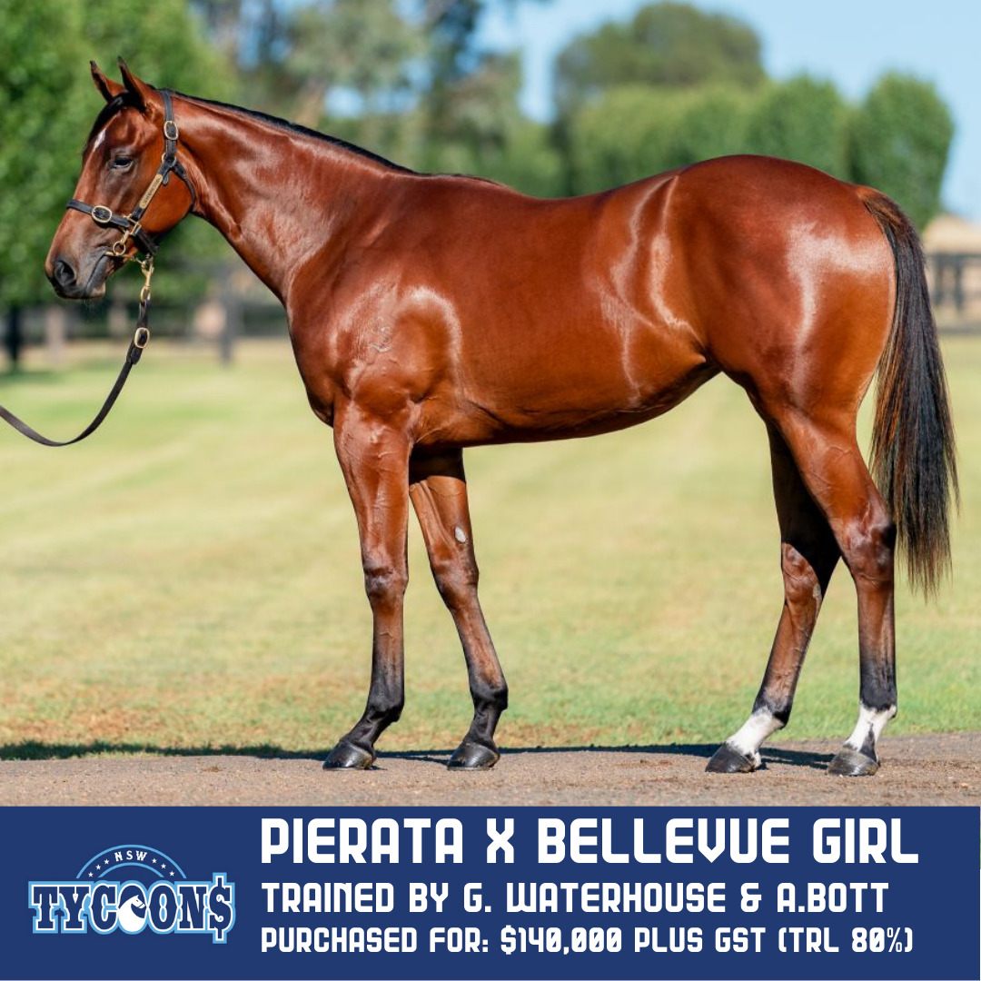 NAME YOUR FILLY fastnet rock x alice island (8) Pierata x bellevue girl trained by gai waterhouse and adrian bott