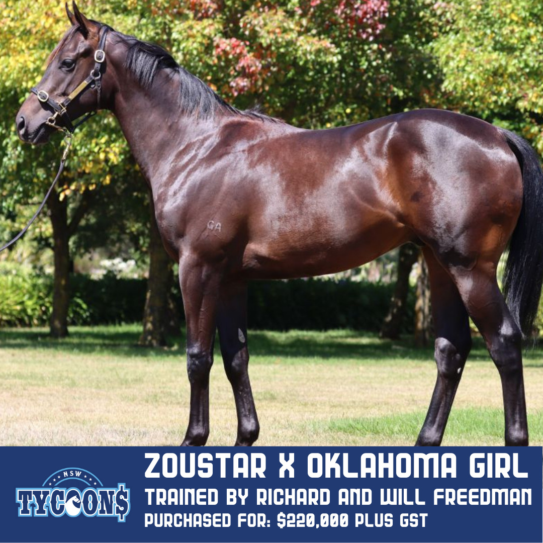 Zoustar x Oklahoma girl trained by richard and will freedman
