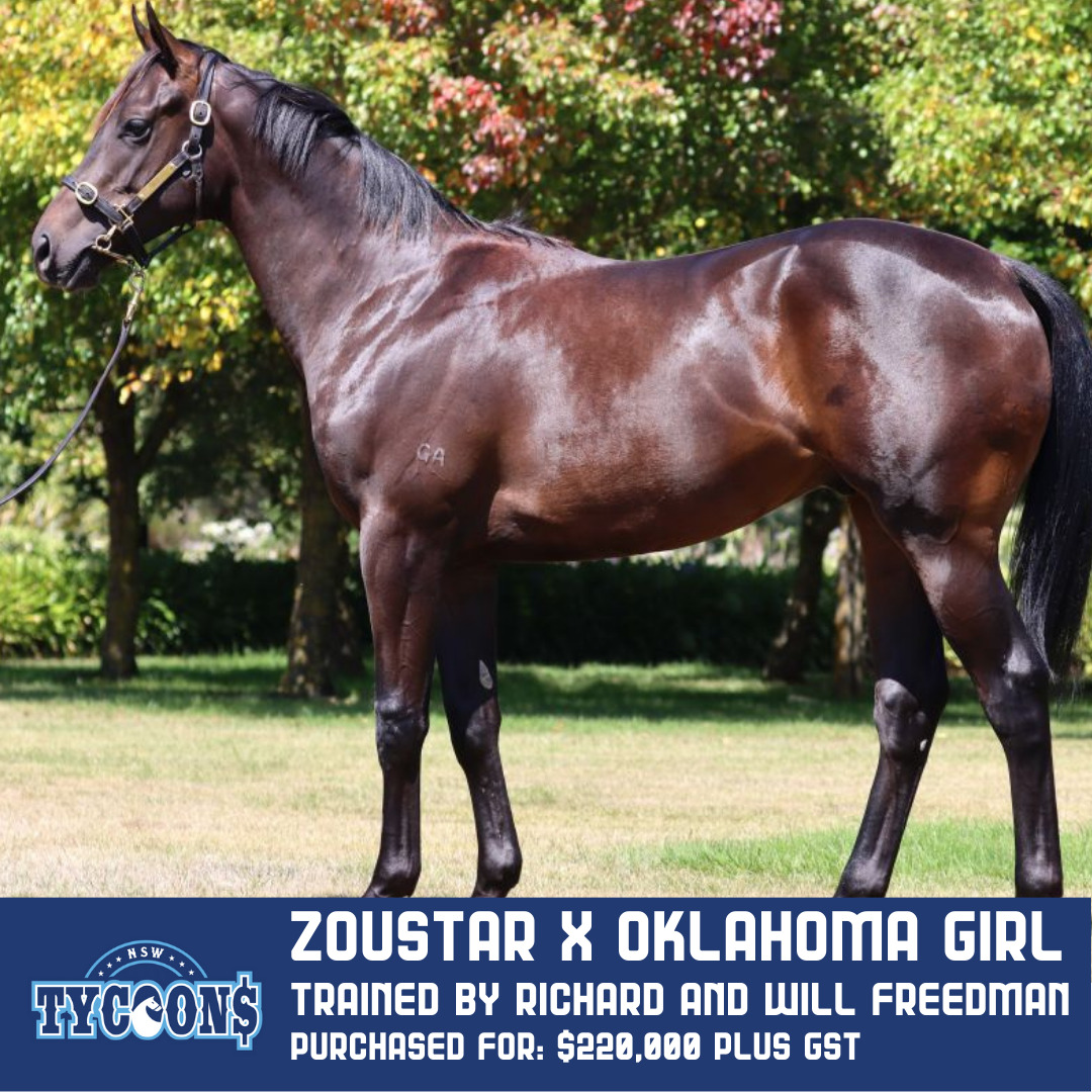 NAME YOUR FILLY fastnet rock x alice island (8) Zoustar x Oklahoma girl trained by richard and will freedman