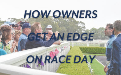 HOW TRL OWNERS GET AN EDGE ON RACEDAY