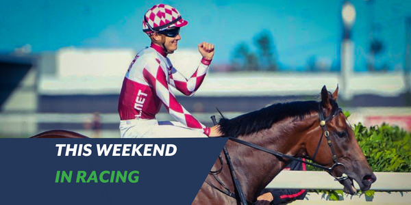 Team Captain heading to adelaide cup trained by matt cumani for the vic husslers