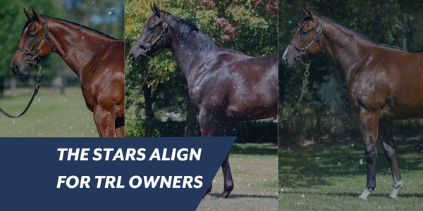 TRL purchases 3 new horses at the 2023 inglis melbourne premier sale