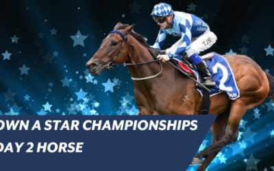OWN A STAR CHAMPIONSHIPS DAY 2 HORSE