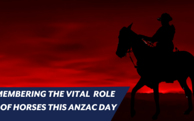 UNSUNG HEROES: REMEMBERING THE  VITAL ROLE OF HORSES THIS ANZAC DAY